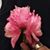 Martha Moses Gibbs's profile image