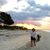 T Ann Minges Sturrock's profile image