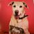 GeorgeandShari Adams's profile image