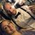 Jaclyn N Roly's profile image