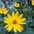 Tammy Furrow's profile image