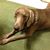 Martine Griffith's profile image
