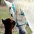 Poppy Laughlin Elliott's profile image