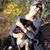 Kathy Swords's profile image