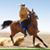 Abdul Rehman Vayani's profile image
