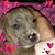 Sherryl Jenkins's profile image