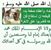 Noureddine Elkohli's profile image