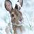 Marsha Osing Hayes's profile image