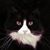 Diane Johnson Parker's profile image