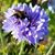 Kerry Giggenbach MacVean's profile image