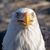 Tim Hanko's profile image