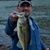 Ron Bennett's profile image