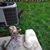 Leslie Marie Grayson's profile image