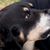 Pam Boatwright's profile image