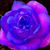 Sheril Ann Bryan's profile image