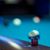 D'Big Shots Family Billiards's profile image