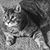 Eric Kathy Nagel's profile image