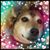 Debra Brebner's profile image