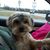 Jennifer Lockridge Durand's profile image