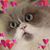 Maureen Halligan's profile image