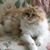 Donna Van Patten Gilbert's profile image