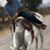 Jorge Lara's profile image