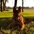 Marie Gork Feldt's profile image