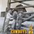 Carolyn Grieve's profile image