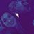 Livia Galindo's profile image