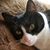 Helen Shapiro's profile image