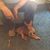 Teresia Phillips's profile image