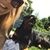 Hannah Fischl's profile image