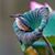 Nancy Shaffer Shaner's profile image