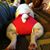Howard Le's profile image