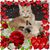 Darcy Lennon Searle's profile image