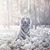 Ron Laudner's profile image