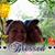 Barb Lasher's profile image