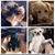 Debbie Smith's profile image