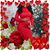 Faith Garnett's profile image