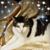 Leslie MacPherson's profile image