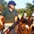 Silverkap Farm's profile image