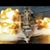 Patricia C Miller's profile image
