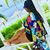 Linda Thedutchess Phillips's profile image