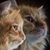Beth Conn's profile image