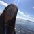 Melissa Gruba Drews's profile image