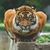 Pedro Rivera's profile image