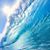 Holly Mazzarelli's profile image