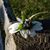 Tabitha Bowie's profile image