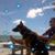 Raeanne Holman O'Brien's profile image