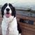 Karen N. Mangum's profile image